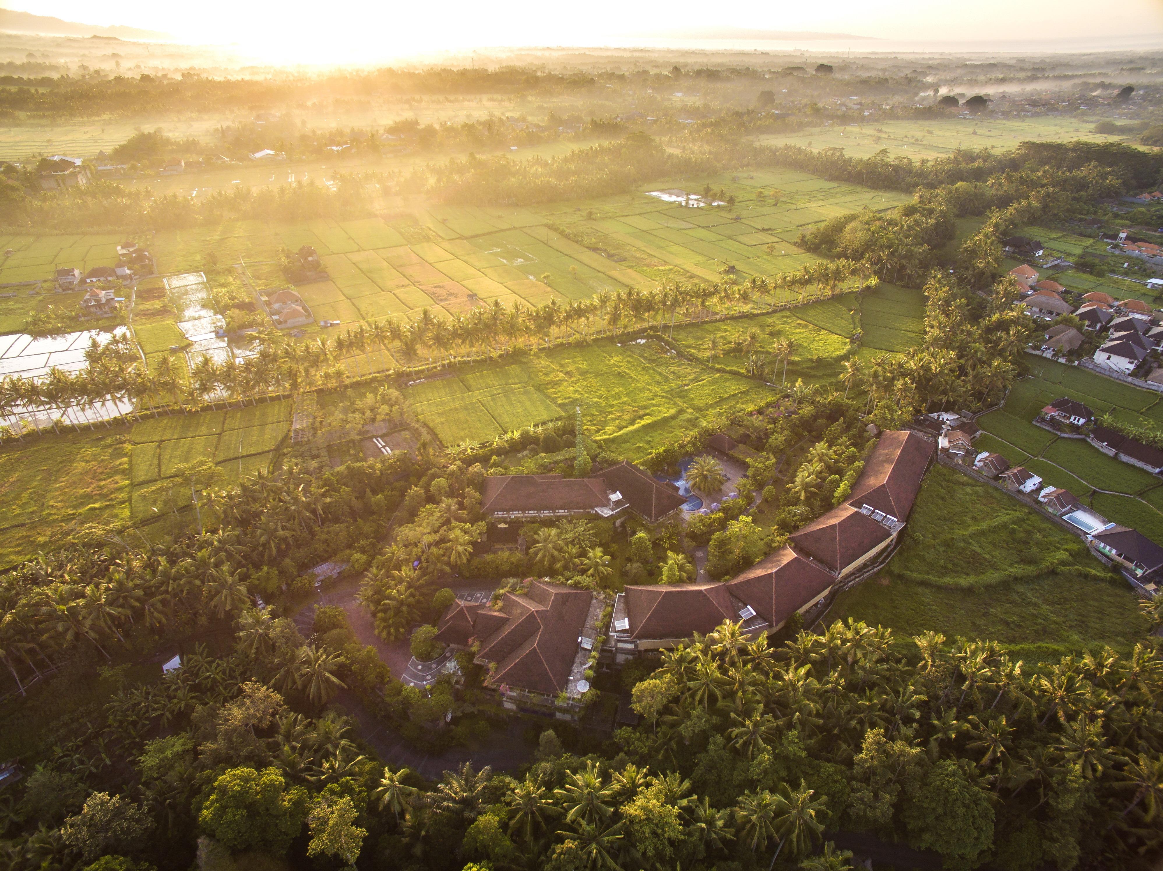 Bhuwana Ubud Hotel And Farming Luaran gambar