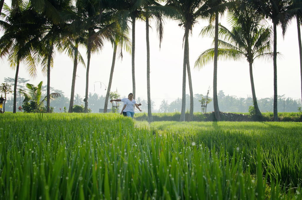 Bhuwana Ubud Hotel And Farming Luaran gambar